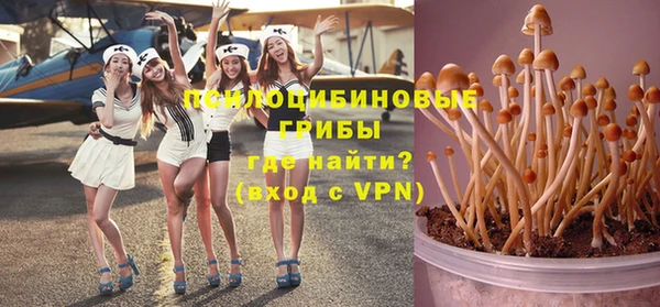тгк Армянск